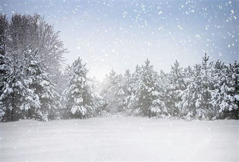 Laeacco Winter Snow Backdrops Snowflake Tree Polka Dot Light Bokeh