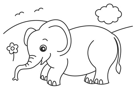Baby Elephant Coloring Pages Animal