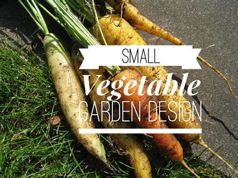 Include the size and design. Small Vegetable Garden? Try These Layout Ideas - Gardening Channel