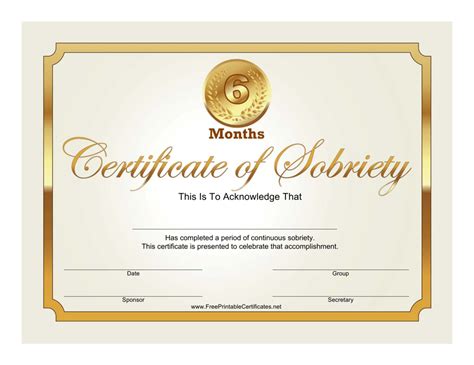 Golden 6 Months Certificate Of Sobriety Template Download Printable Pdf