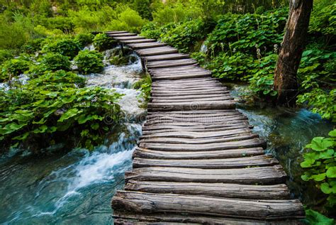 Old Wooden Bridge Over River Stock Image Image Of Greenery