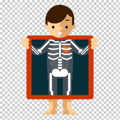 Free Xray Clipart 10 Free Cliparts Download Images On Clipground 2024