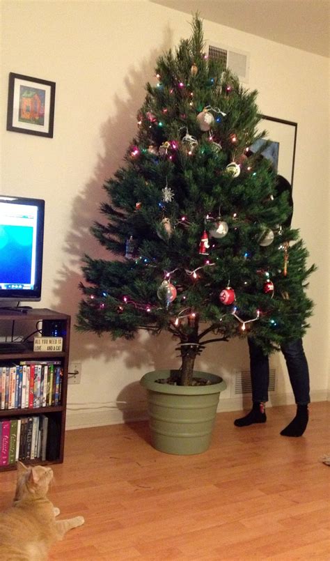 The Modern Diy Life Diy Christmas Tree Stand