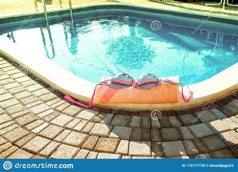 Bikini At Pool Stock Image Image Of Vacation Lifestyle 170177739