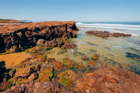23 Best Things To Do In Phillip Island Australia By A Local The