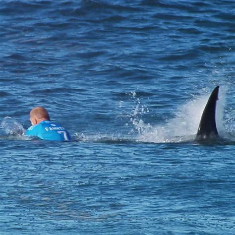 Years After Infamous Shark Fight On Live Tv 3x World Champion Surfer
