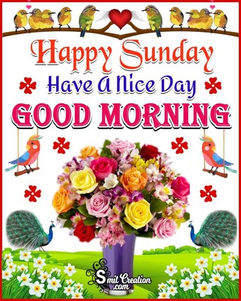 Top 999 Happy Sunday Good Morning Images Amazing Collection Happy
