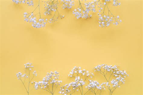 Fiori bianchi con centro giallo per accedere alle funzioni di ritaglio e l'editing di immagini autorizzare e i fiori sono bianchi con il centro giallo, simili alle margherite, e comprendono un gran numero di petali e stami. Confine di fiori bianchi sullo sfondo giallo | Scaricare foto gratis