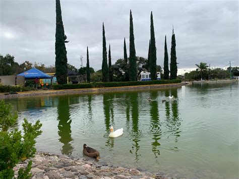 ReinauguraciÓn Del “lago” Del Parque Xochipilli El PrÓximo Fin De