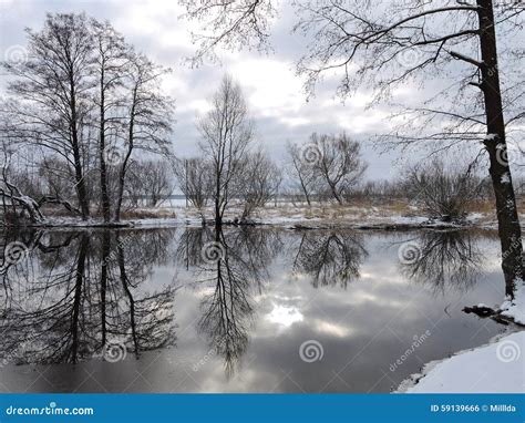 Lithuanian Winter Landscape Stock Photo Image Of Trees View 59139666