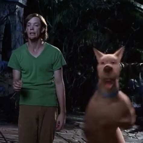 In Scooby Doo 2002 Scooby Attempts To Show Off His Kung Fu Skills To