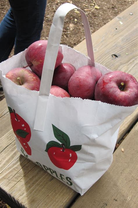 Apple Picking at Los Rios Rancho in Oak Glen - GoExploreNature.com