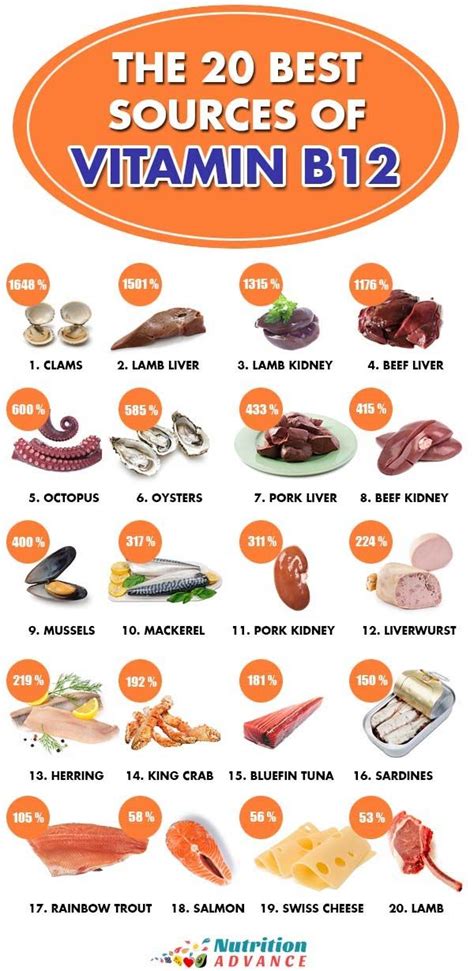 The 20 Best Sources Of Vitamin B12 This Infographic Shows How Much