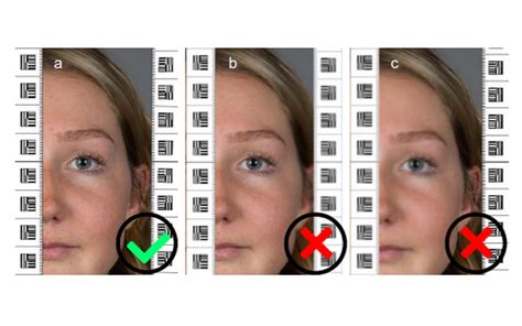 How To Take A Biometric Photo For A Passport Smartphone Id