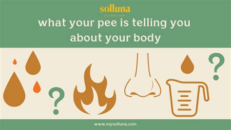 What Your Pee Color Says About Your Health Solluna By Kimberly Snyder