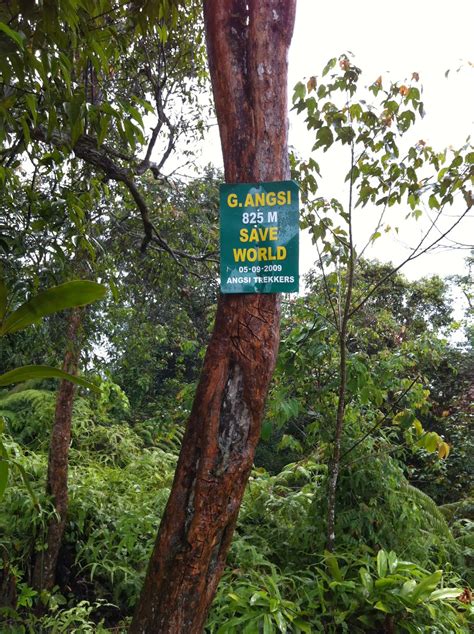 The two common accessible trail either start from hutan lipur ulu bendul (5.5 km one way) or via bukit putus (4.4 km one way). AdaMokhtar: Pengalaman Mendaki Gunung Angsi, Ulu Bendul