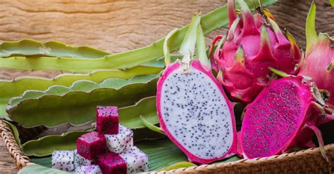 To grow as a container plant, transplant a seedling into a pot with good drainage and use a cactus soil mix or one you blend yourself of sand outdoor dragon fruits require similar supports, or an arbor, since this is a climbing plant. 5 Fantastic Health Benefits of Dragon Fruit - Goodnet