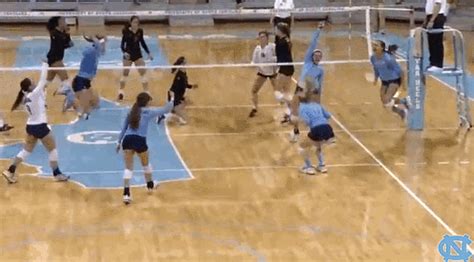 Carolina Volleyball S Get The Best  On Giphy