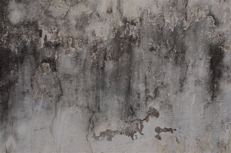 Free Decaying Wall 4 Stock Photo