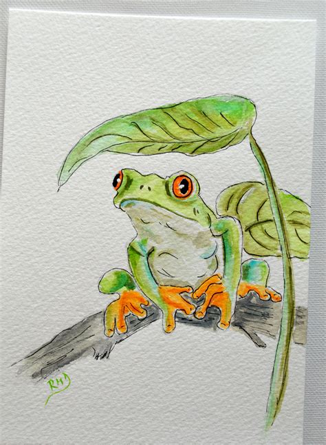 Frog Undercover Frog Art Animal Paintings Animal Drawings