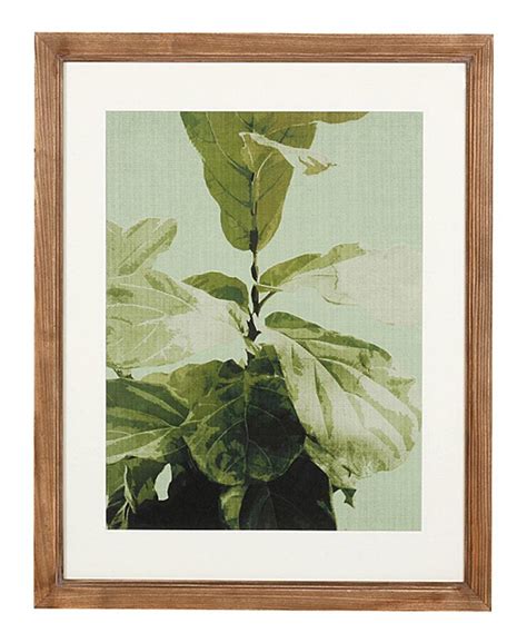 Take A Look At This Fresh Botanical Framed Print Today Botanical