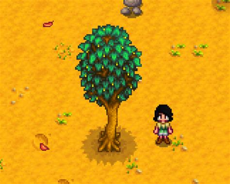 Stardew Valley Maple Trees: Everything You Need To Know - Stardew | Guide