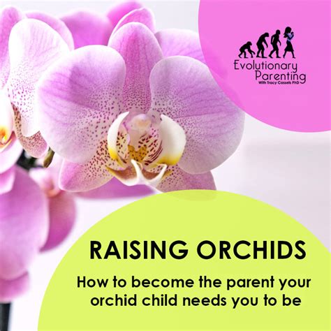 Raising Orchids How To Become The Parent Your Orchid Child Needs You