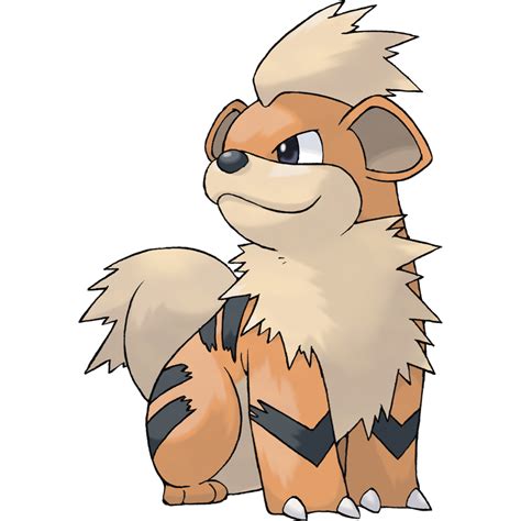 Arcanine Png 20 Free Cliparts Download Images On Clipground 2023