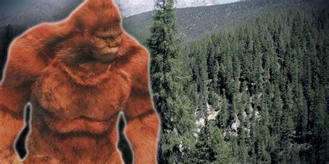 Bigfoot Erotica Fur Flies In Virginia Congressional Race