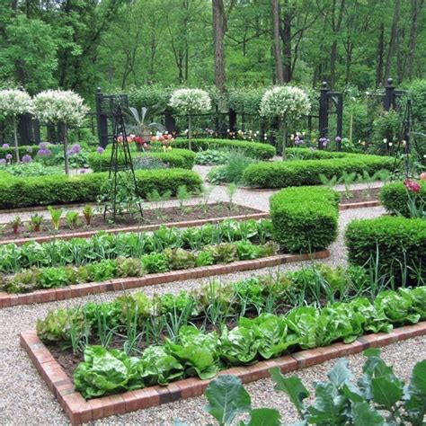 Want to grow vegetables or improve your existing vegetable garden? 10+ Easy Vegetable Garden Layout Ideas For Beginner - DECOREDO