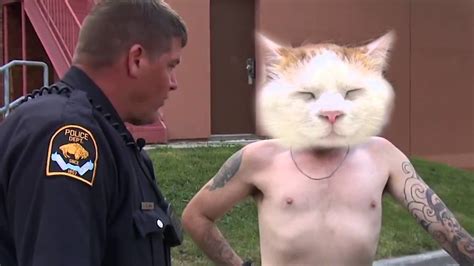 Kitty Cat Cops - YouTube