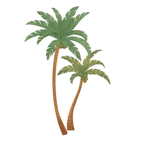 Summer Palm Hd Transparent Summer Palm Tree Decoration Pattern Summer