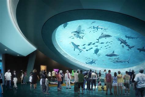 Miamis Frost Museum Of Science To Open In May Curbed Miami