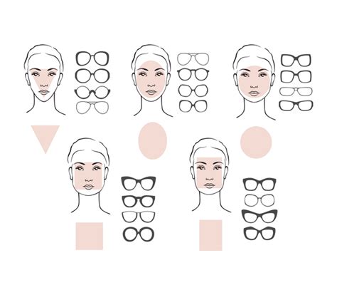 Female Face Shapes Woman Glasses Types Stock Vector 48 Off