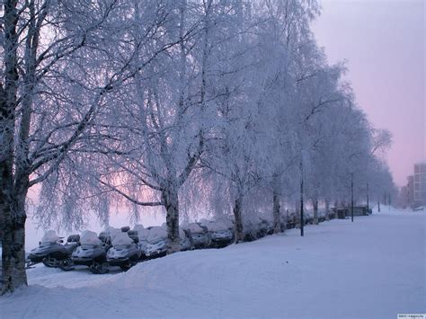 Picture Winter Nature Seasons