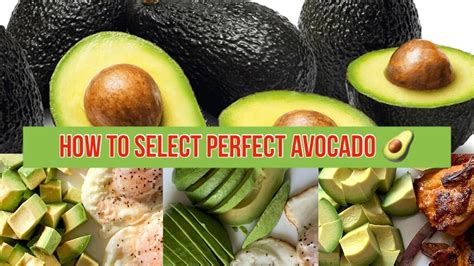 পারফেক্ট আভোকাডো চেনার উপায় How To Select Perfectly Ripen Avocado