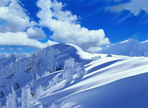 41 Snowy Landscapes Wallpaper Wallpapersafari