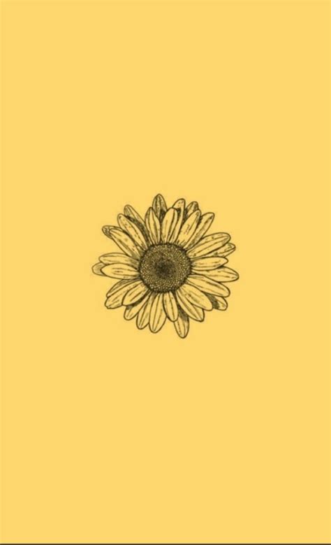 Aesthetic Yellow Flower Drawing 750x1236 Download Hd Wallpaper
