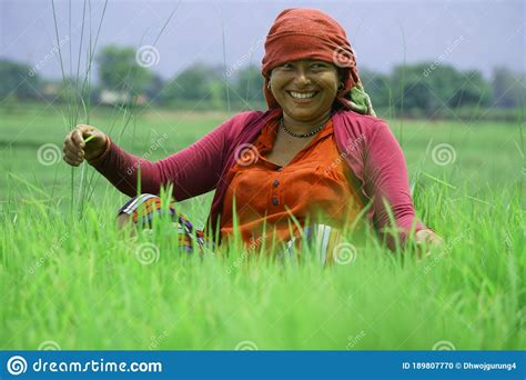 Chitwan Nepal July 20 2020 Nepali Woman Posing For A Camera While Working In The Farmland From