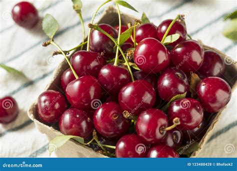Raw Red Organic Tart Cherries Stock Photo Image Of Cherry Dessert