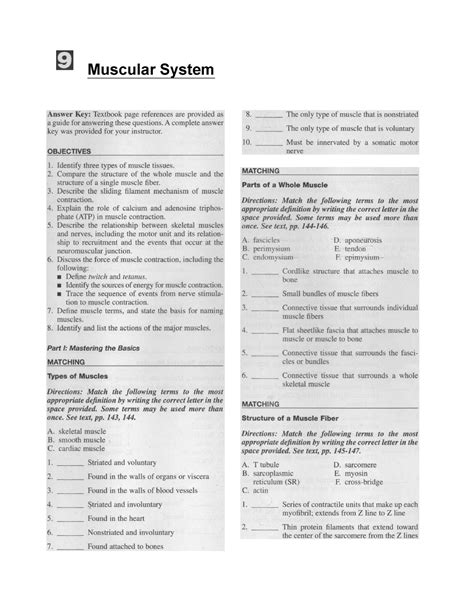 A And P Ch 9 Muscular System Study Guide Muscular System Matching