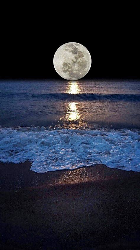 Moonshine Beach Sea Moon Photography Beautiful Moon Moon Art