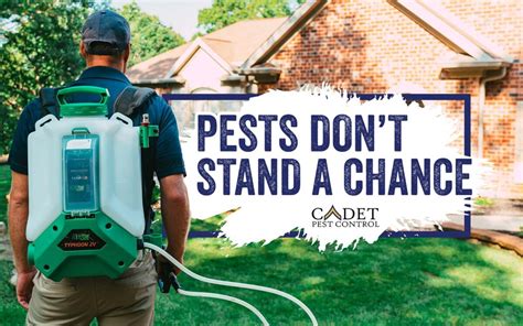 Cadet Pest Control In St Louis St Louis Hero Network