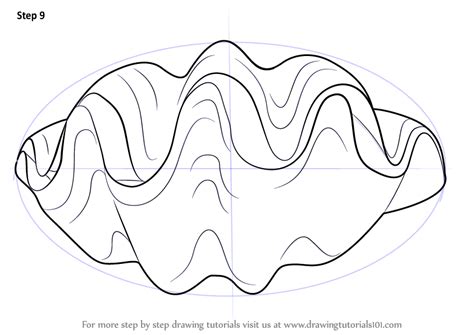 The spider's tail has the biggest circle while the body and head are smaller. Learn How to Draw a Giant Clam (Mollusks) Step by Step ...