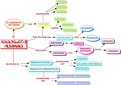 Partes Del Sistema Oseo Esquemas Y Mapas Conceptuales De Ciencias