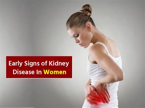 Kidney Disease Symptoms In Females Onlymyhealth