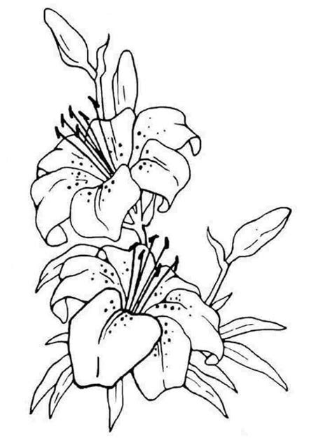 Water Lily Coloring Page 10 Things You Didn T Know About Lily Tattoo