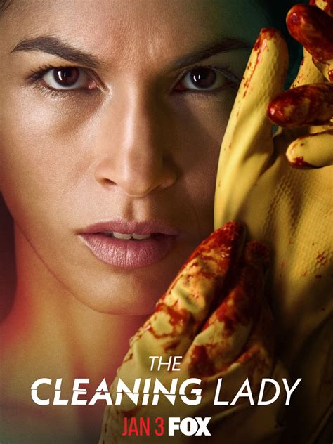 The Cleaning Lady Saison En Streaming Vf Et Vostfr Waystreaming Com