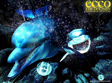 Ecco The Dolphin 1080p 2k 4k 5k Hd Wallpapers Free Download