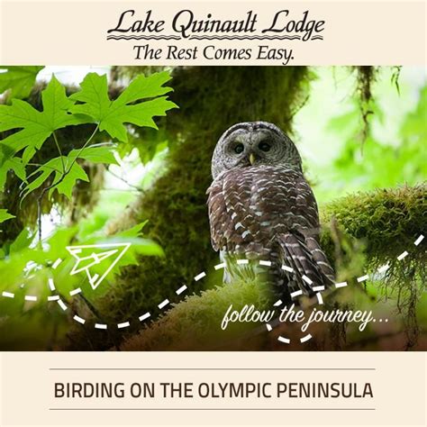 See Our 3 Day Birders Travel Itinerary Track The Latest Olympic